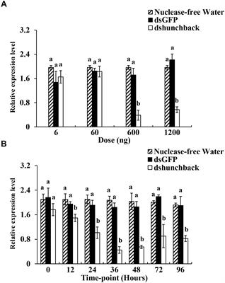 Induction of RNAi Core Machinery’s Gene Expression by Exogenous dsRNA and the Effects of Pre-exposure to dsRNA on the Gene Silencing Efficiency in the Pea Aphid (Acyrthosiphon pisum)